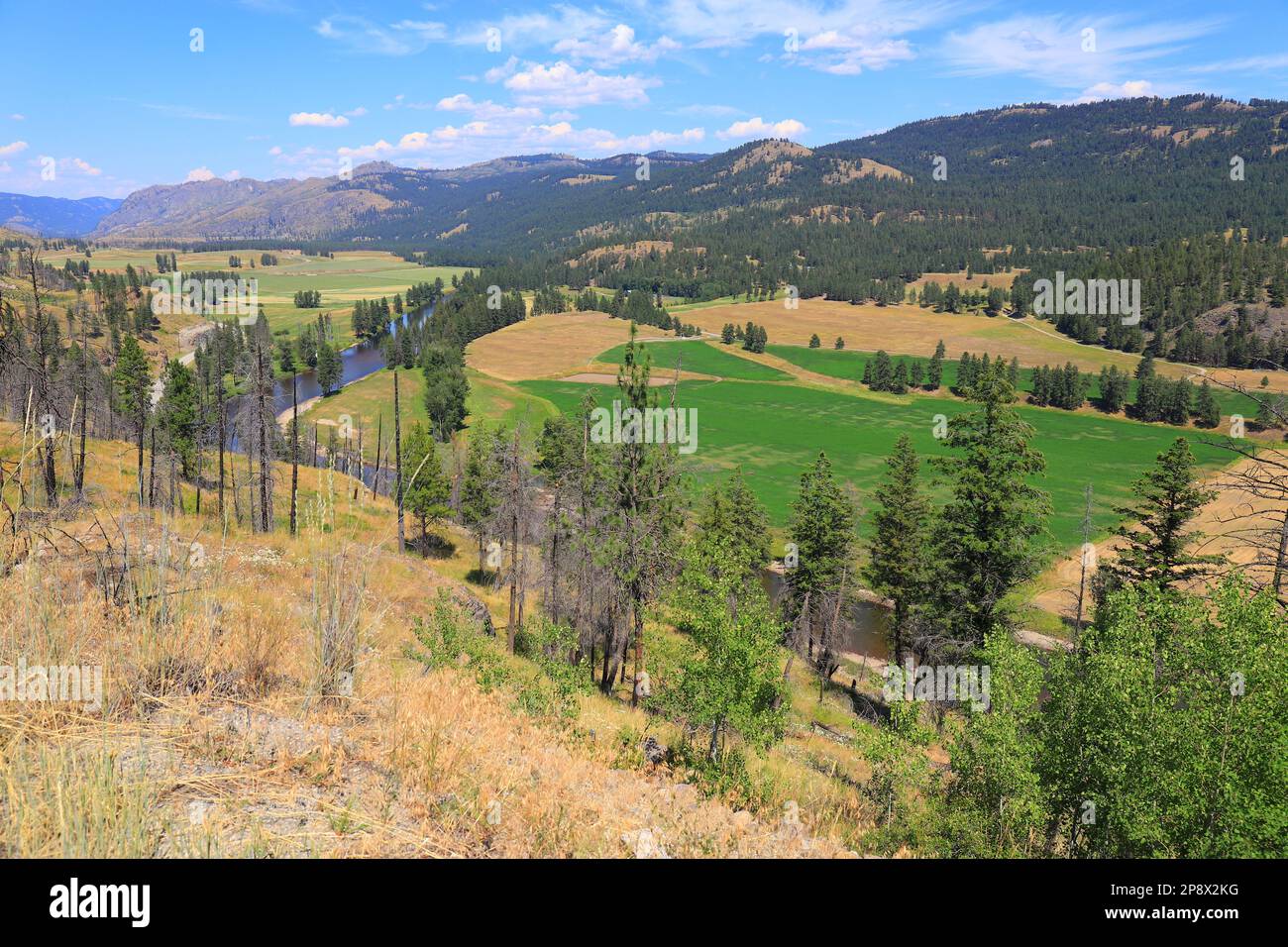 Valley by Rock Creek in BritishColumbia Stock Photo Alamy