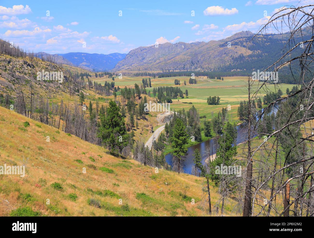 Valley by Rock Creek in BritishColumbia Stock Photo Alamy