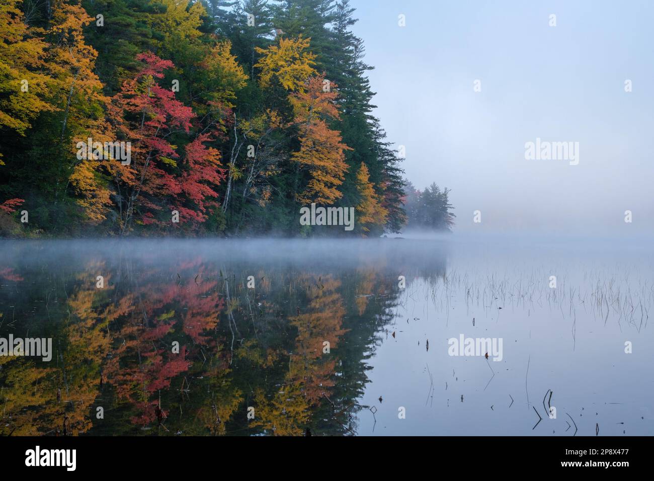 View on a New England lake with a reflection of beautiful autumn colored trees Stock Photo