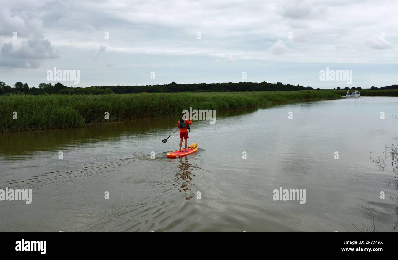 Paddle boarder  on the river Alde  water and reeds on a cloudy day. Stock Photo