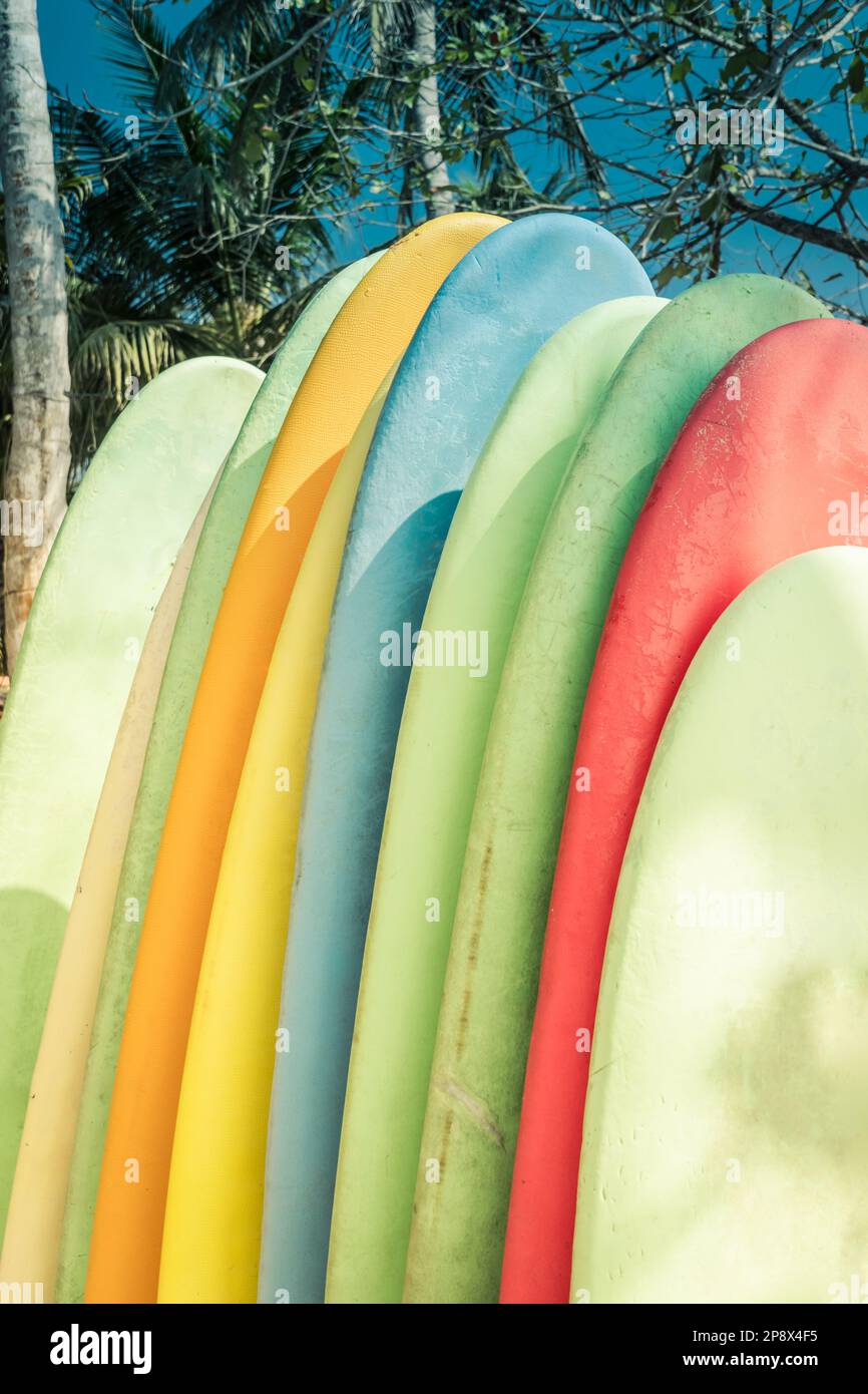 Set of different color surfboards on sandy beach seacoast in Sri Lanka