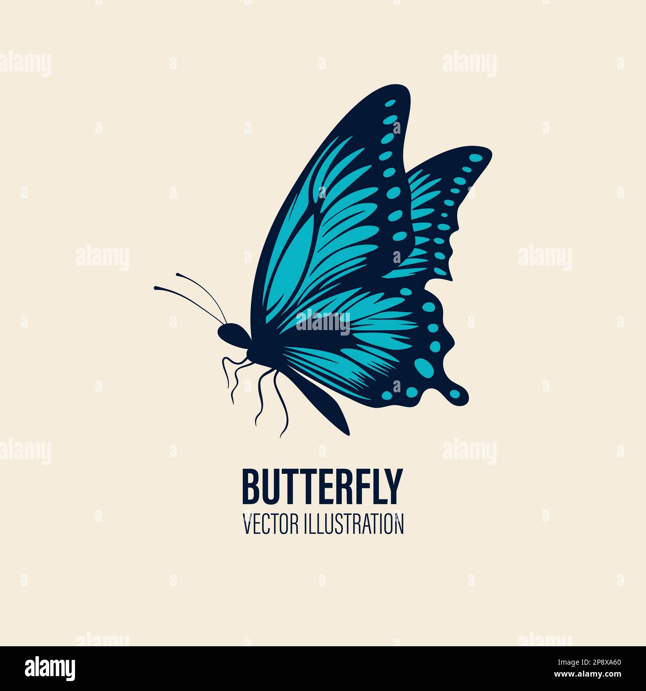 Vector Hand Drawn Butterfly Icon Closeup Isolated on White Background. Butterfly Design Template
