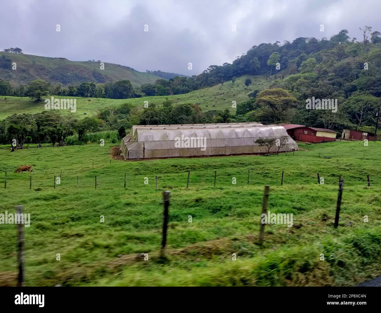 Zapote, Costa Rica - A farm in the mountains northwest of San Jose. Stock Photo