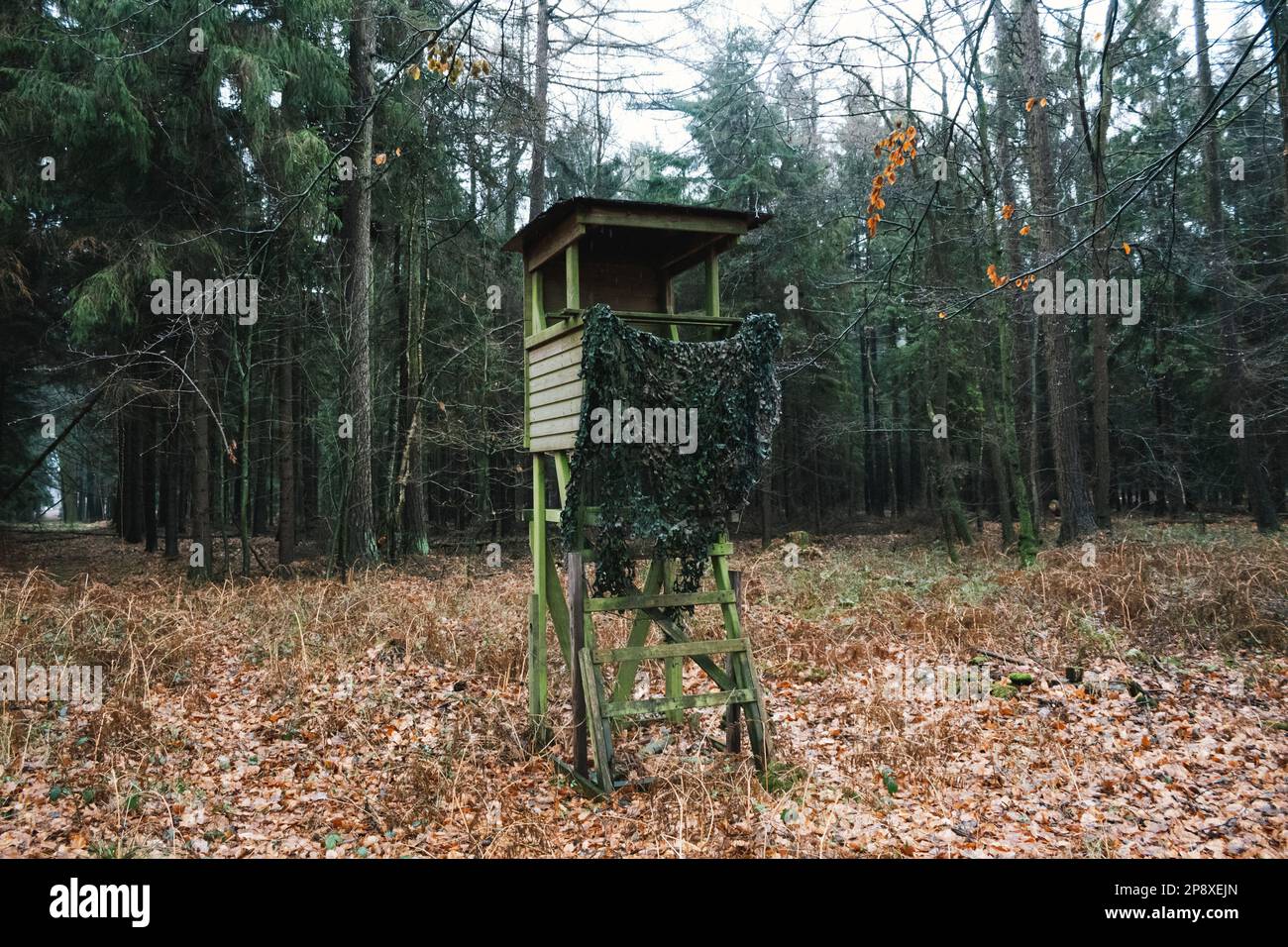 Tree stand or deer stand, open or enclosed platform used by hunters