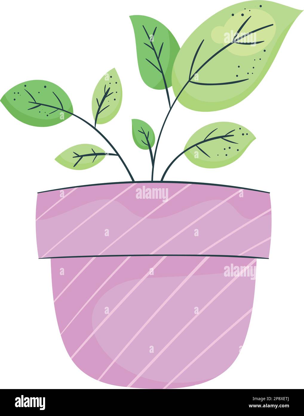 houseplant in lilac pot icon Stock Vector Image & Art - Alamy