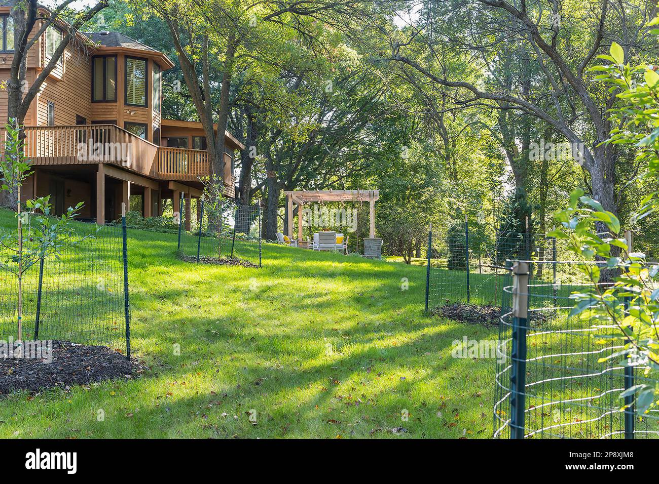 A house with a large yard that has been landscaped with new steps, pergola, patio and plantings Stock Photo