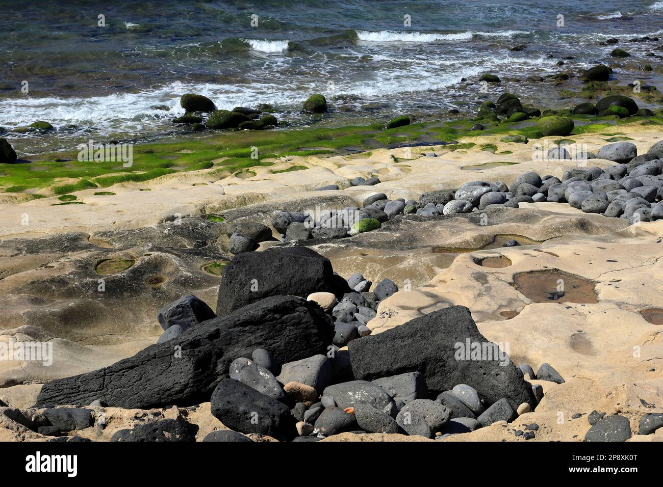 Febary Rocks Colourful shoreline with green weed, volcanic rocks,Lanzarote. Taken ...