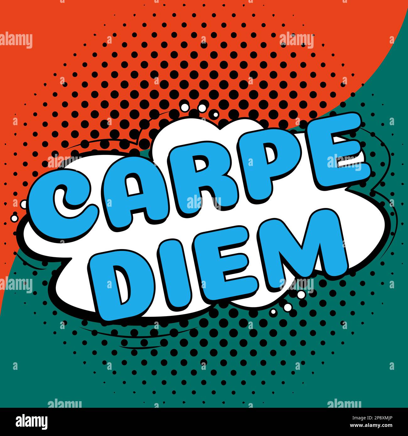 Text caption presenting Carpe Diem. Word Written on public festival