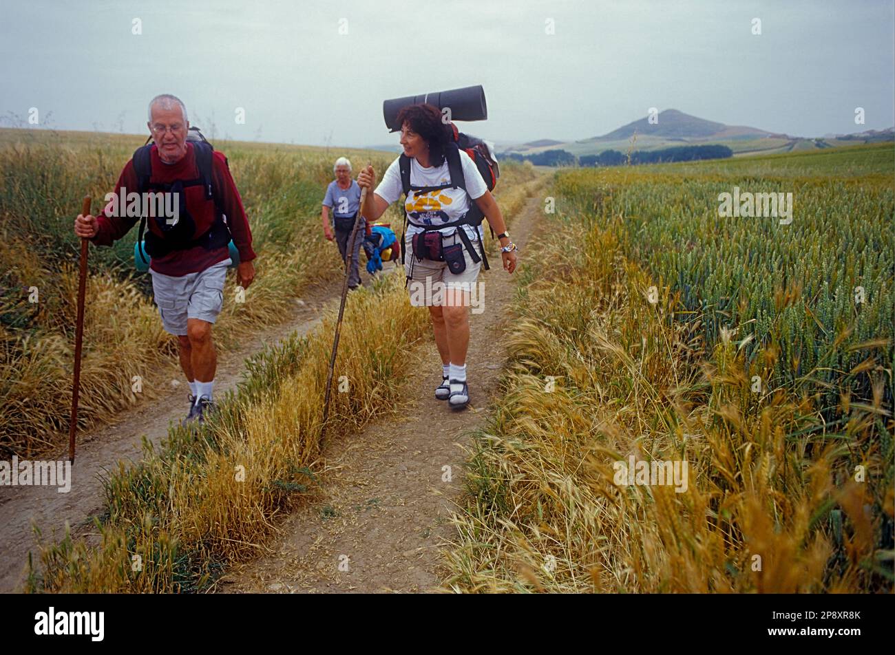 Pilgrims walking near Belorado. Burgos province.Spain. Camino de Santiago Stock Photo