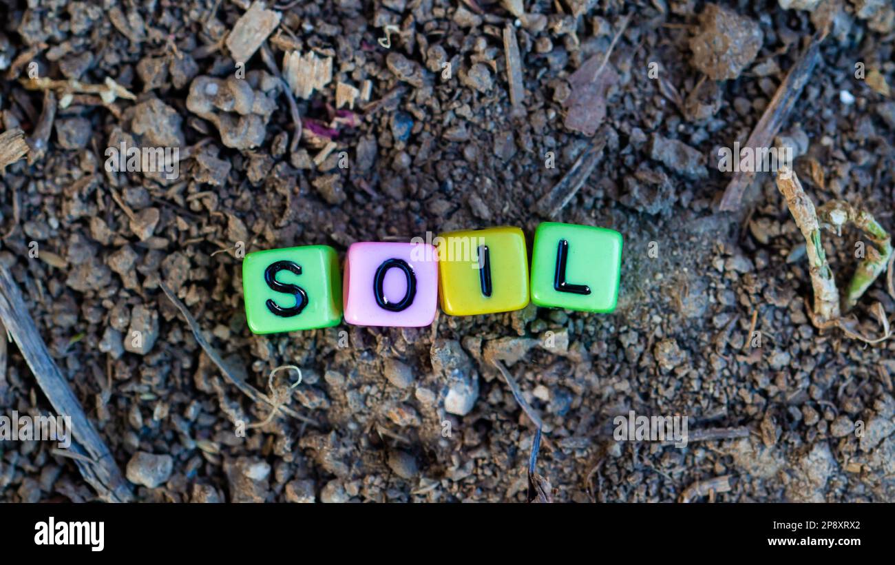 Word soil in colorful block bead letters on the ground Stock Photo - Alamy