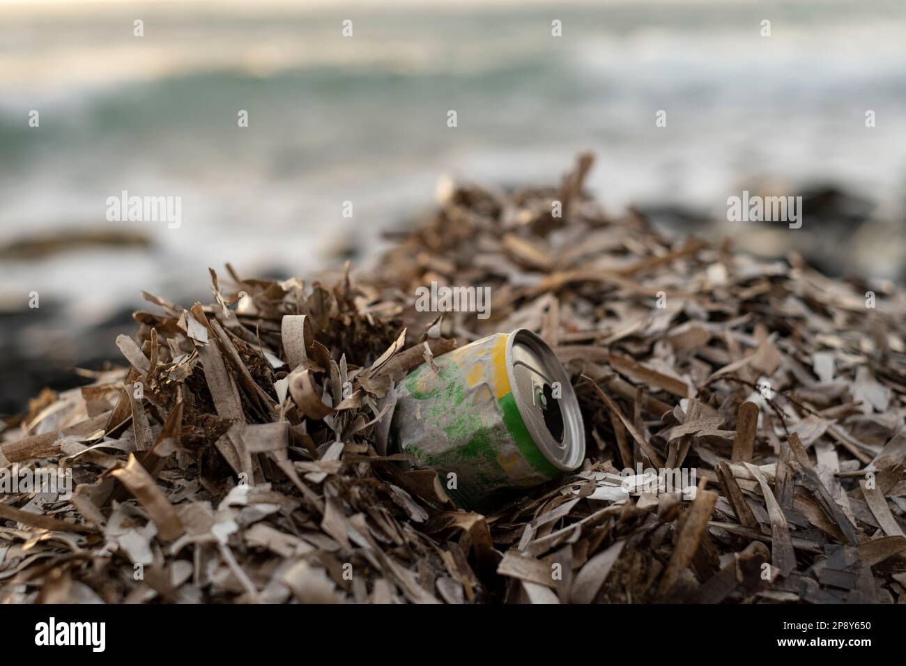 Used Aluminum can waste on ocean sea coast,environmental debris