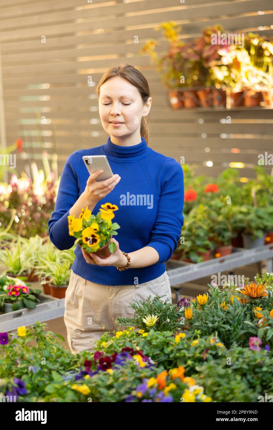 flower shop visitor scans qr code to find out name of plant Stock Photo