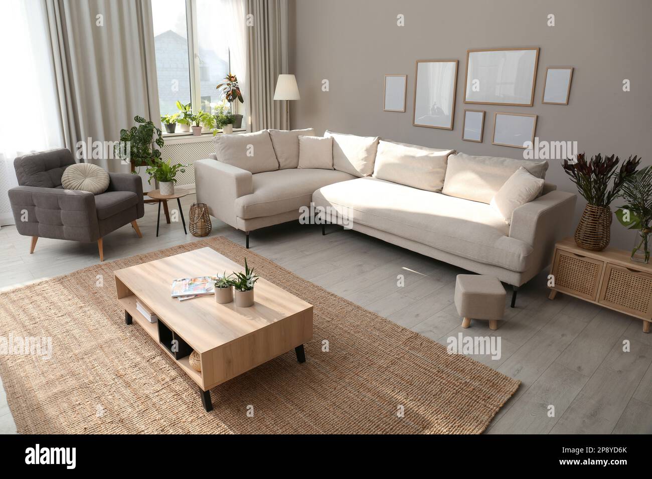 Beautiful living room interior with comfortable sofa Stock Photo - Alamy