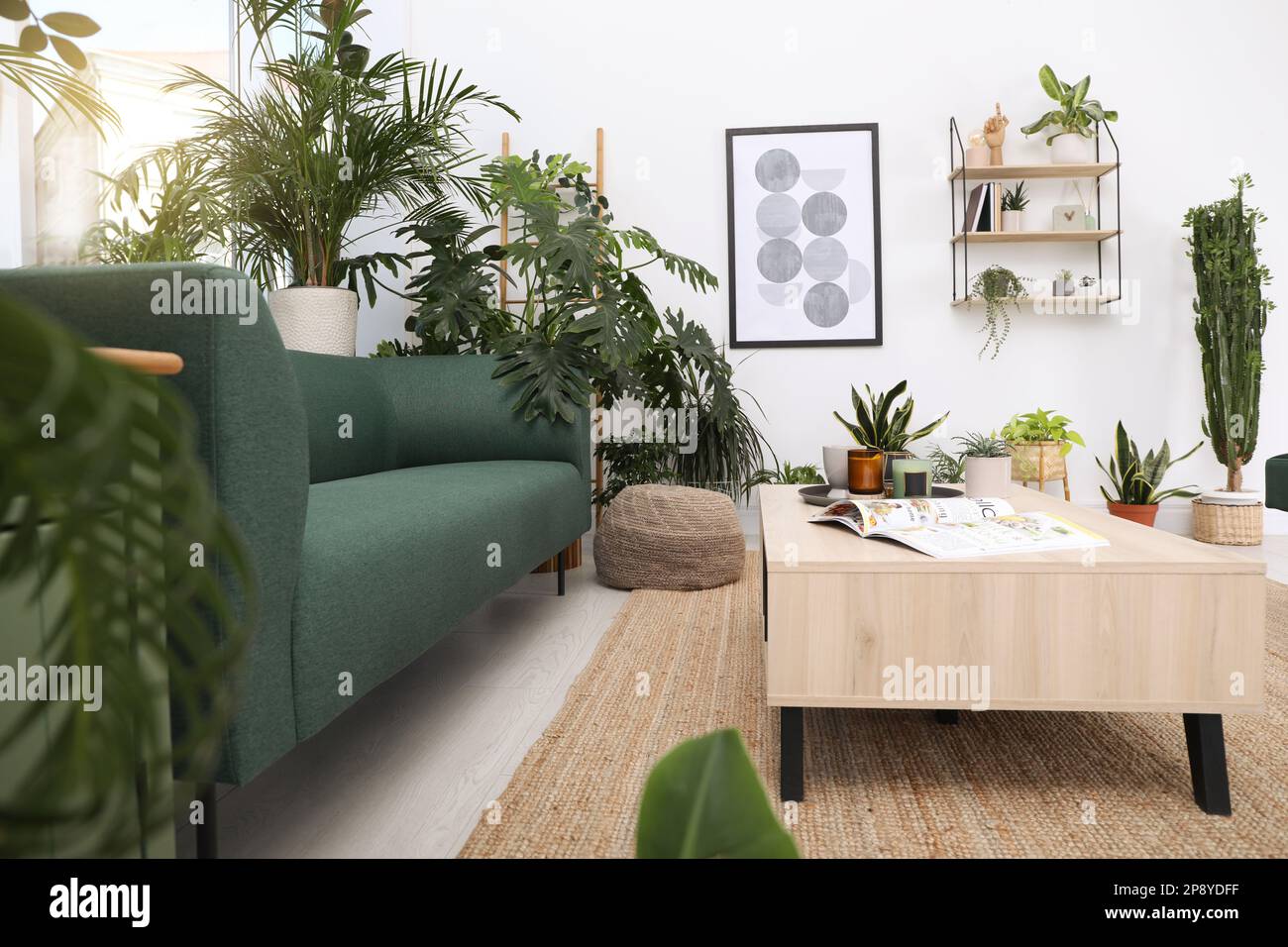 Living room interior with modern furniture and houseplants Stock Photo ...