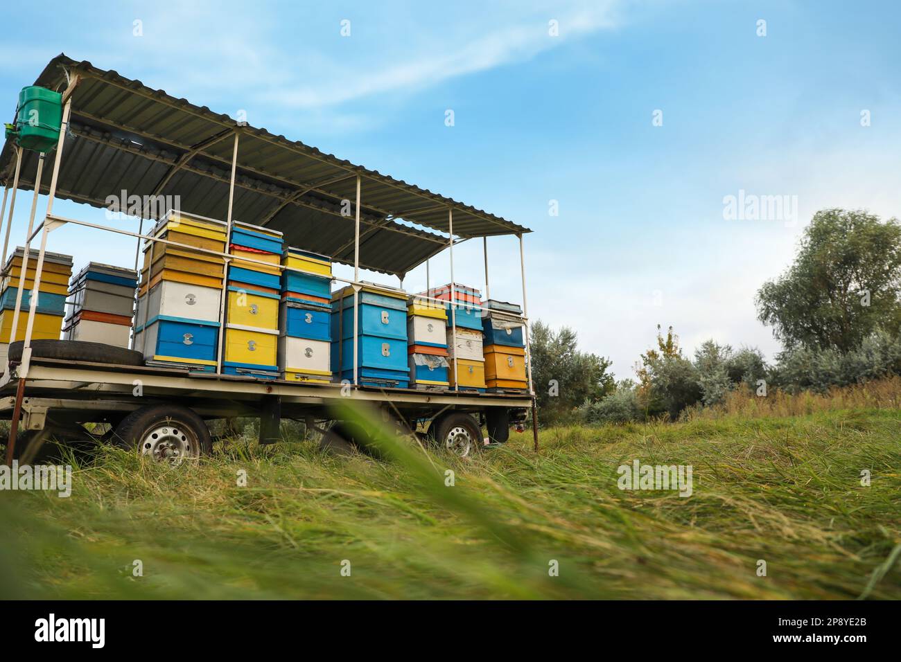Trailer with many colorful beehives at apiary Stock Photo - Alamy