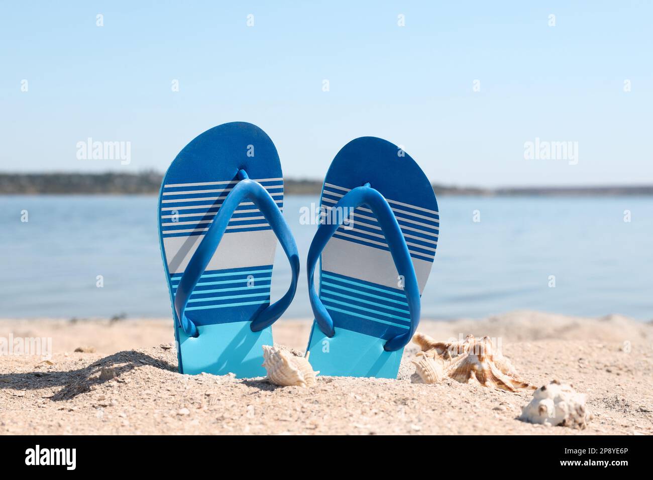 Stylish flip flops and seashells on sandy beach Stock Photo - Alamy