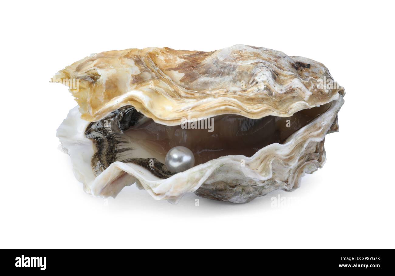 Open oyster with pearl isolated on white Stock Photo Alamy