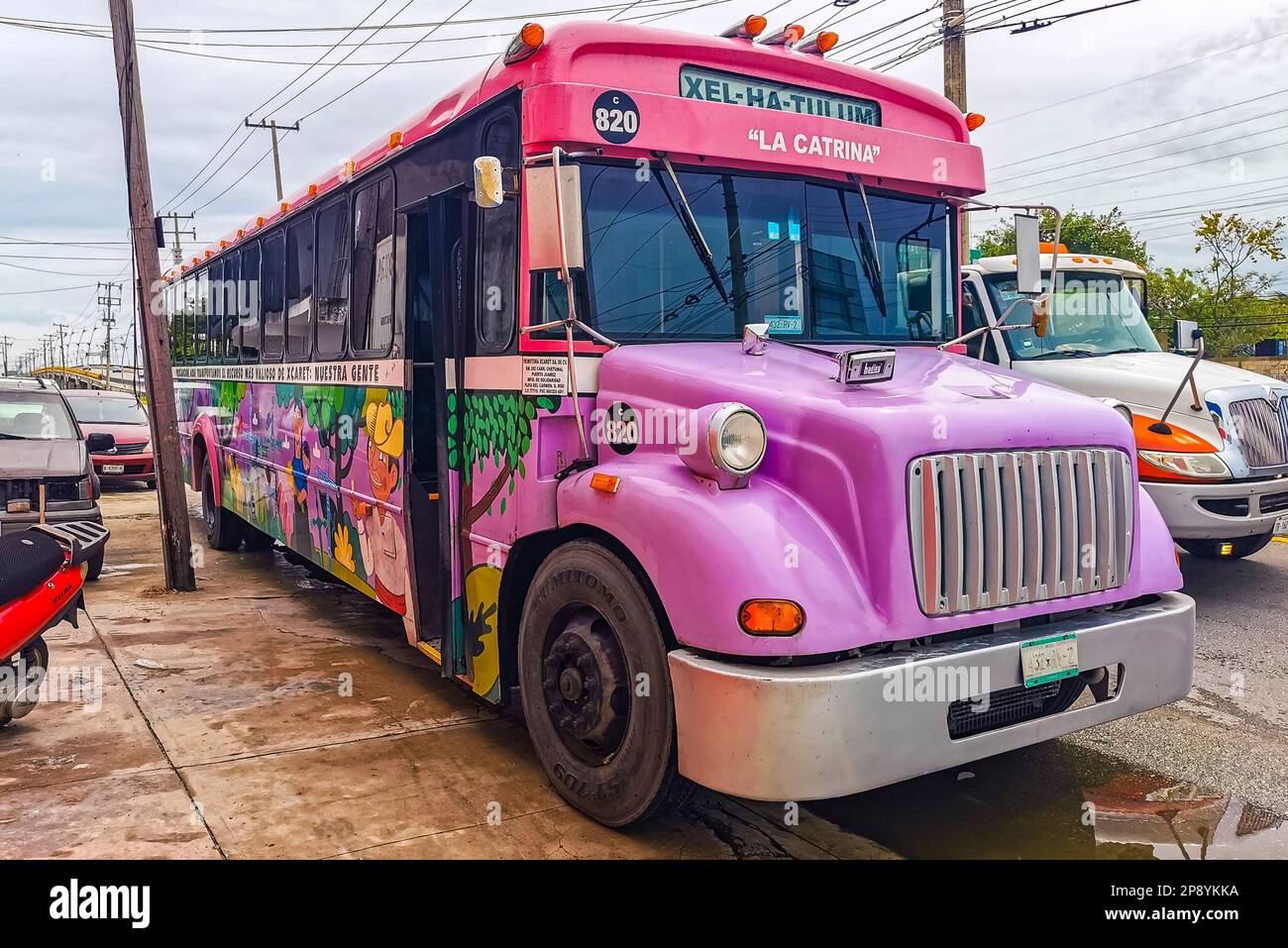 Playa del Carmen Quintana Roo Mexico 2021 Colorful pink blue green ...