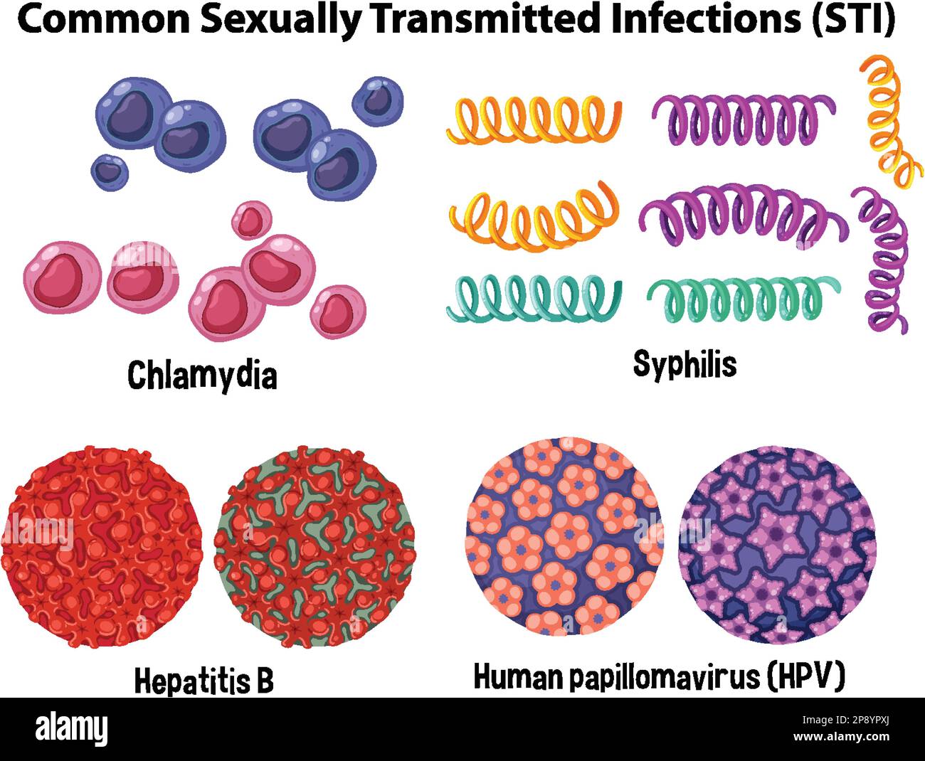 ually-transmitted-definition-biology-at-amber-owen-blog