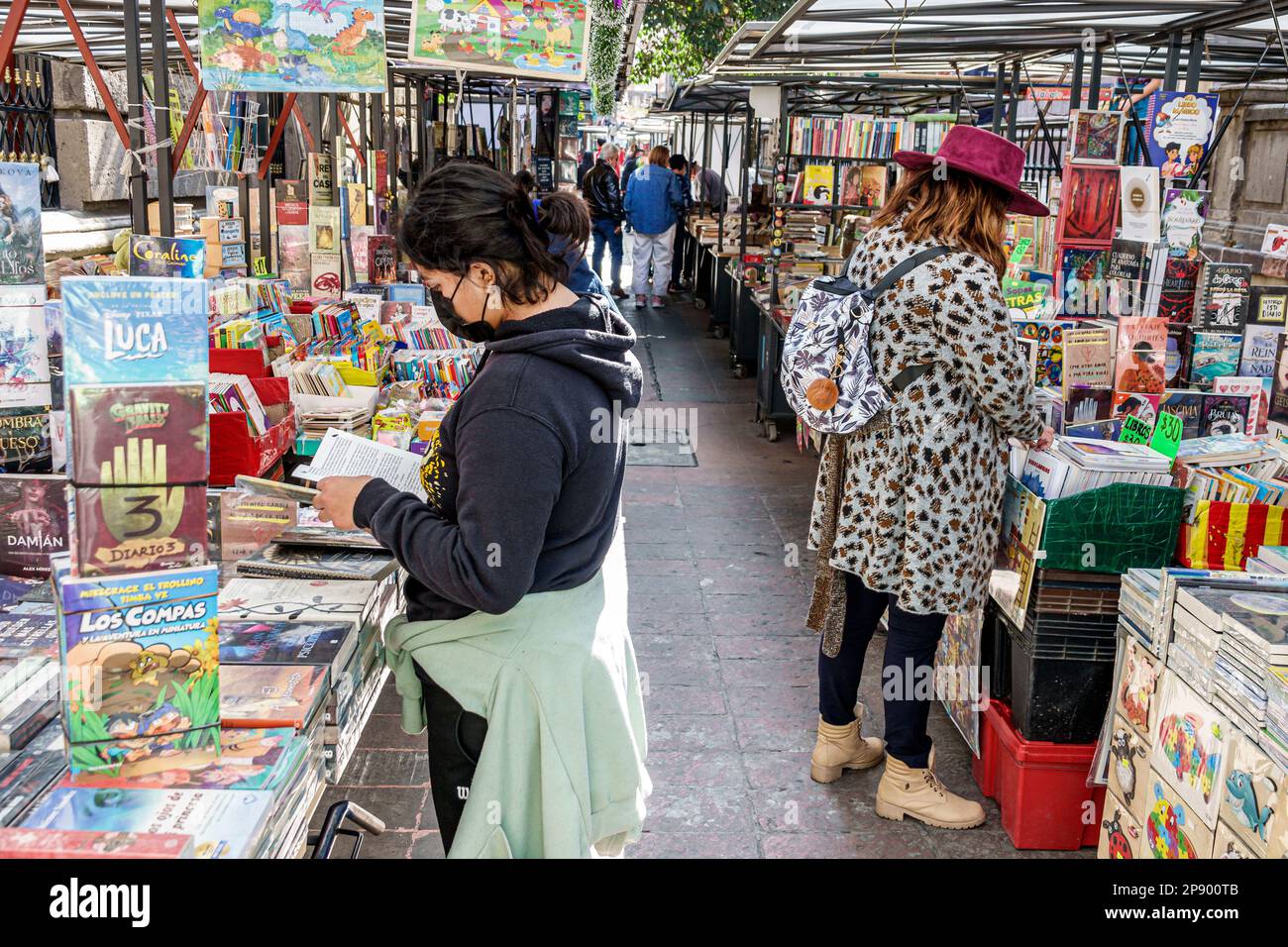 Mexico City,Callejon Condesa Los Rescatadores,books bookseller booksellers kiosks,browsing reading looking at,woman women lady female,adult adults,res Stock Photo