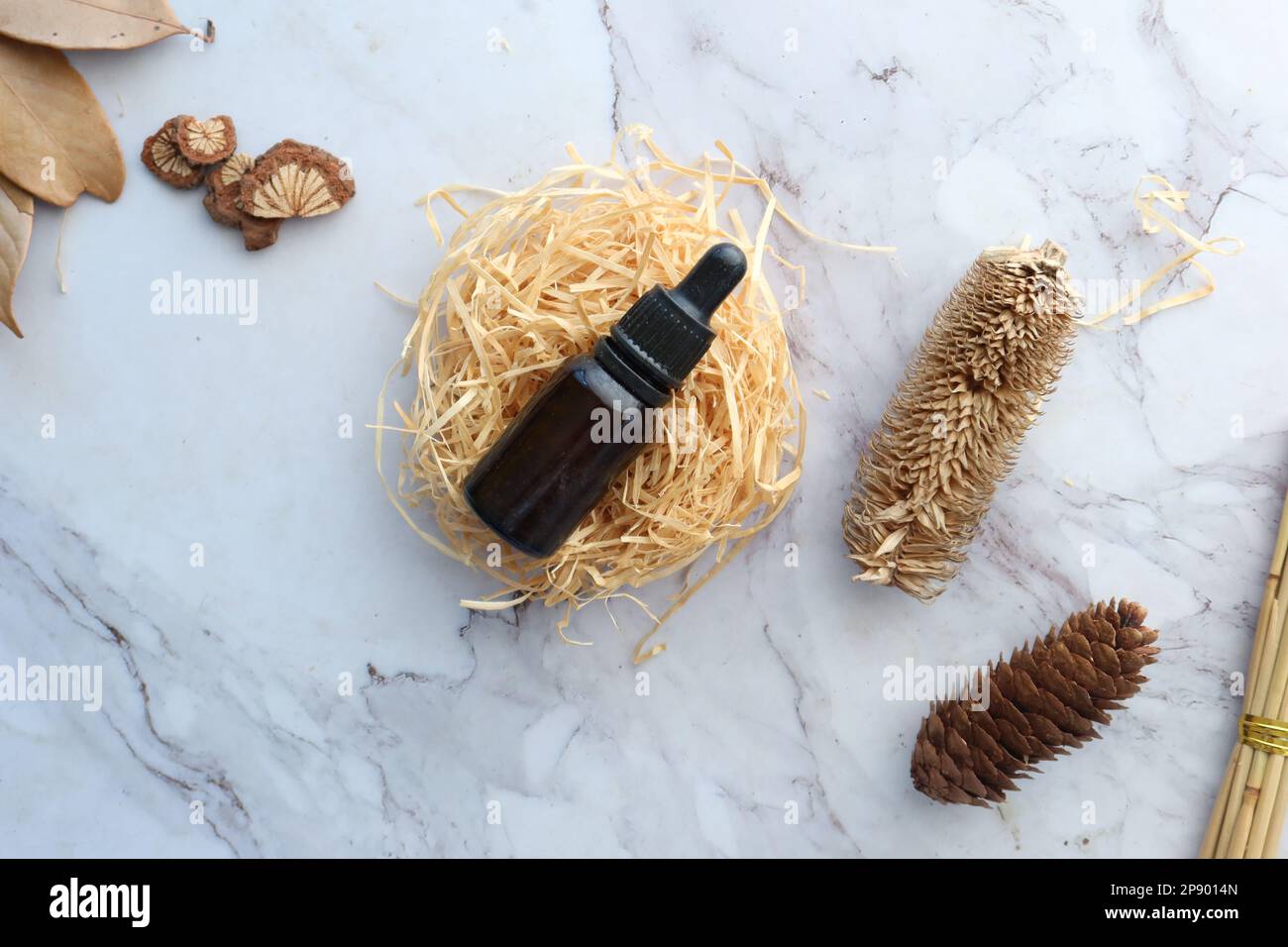 eucalyptus essential oils in a glass bottle with green leaf on white background Stock Photo