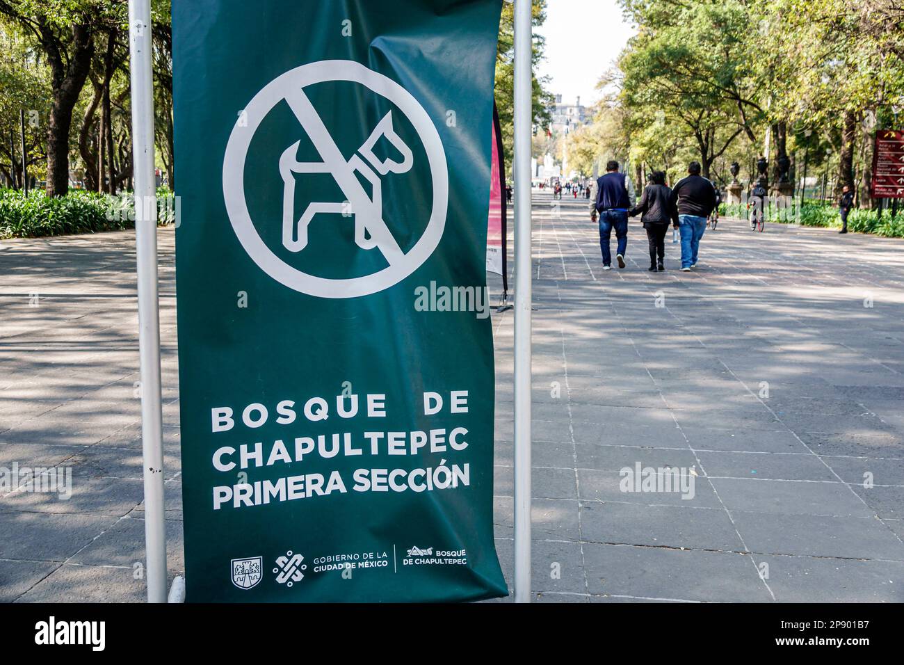 Mexico City,no pets dogs,man men male,woman women lady female,adult adults,resident residents,couple couples,sign signs information,billboard banner,p Stock Photo