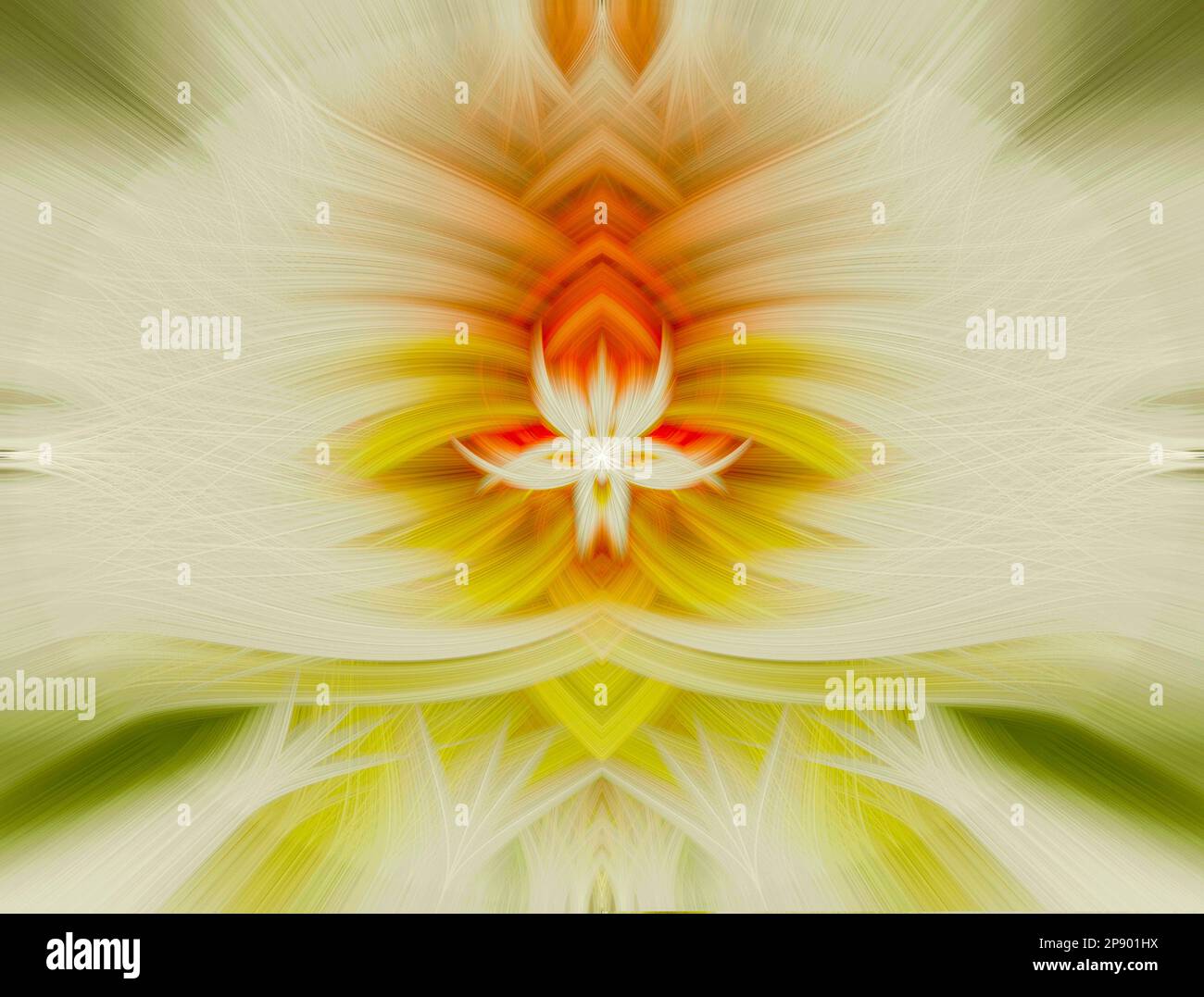 Colorful floral fractal to create a beautiful abstract background Stock Photo