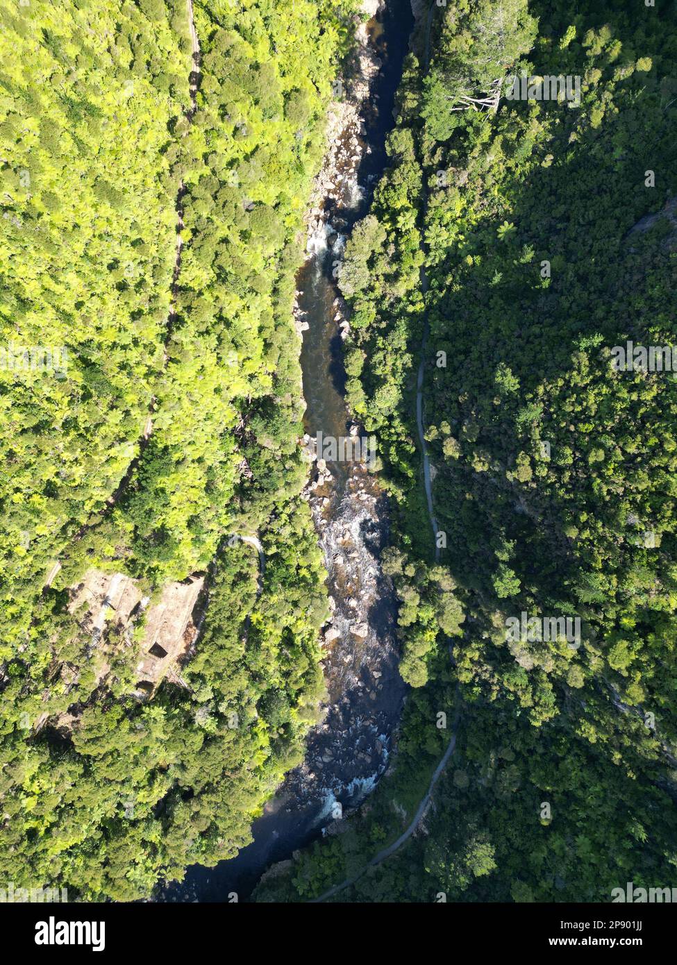 An aerial view of a river meandering through a lush green forest Stock ...