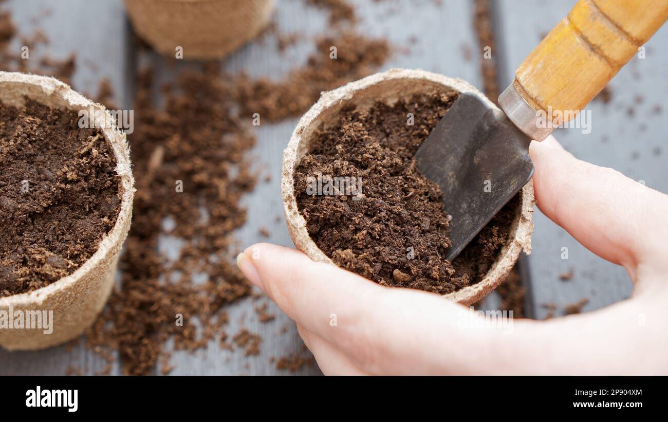 Close up of hand planting a seed in eco friendly biodegradable peat