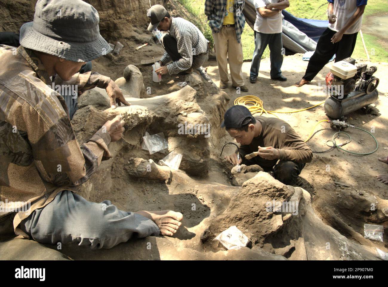 Paleontologists and villagers are working during the excavation of fossils of an extinct elephant species scientifically identified as Elephas hysudrindicus, or popularly called 'Blora elephant', in Sunggun, Mendalem, Kradenan, Blora, Central Java, Indonesia. During the excavation, a team of scientists from Vertebrate Research (Geological Agency, Indonesian Ministry of Energy and Mineral Resources) led by paleontologists Iwan Kurniawan and Fachroel Aziz discovered the species' bones almost entirely (around 90 percent) that later would allow them to build a scientific reconstruction, which is.. Stock Photo