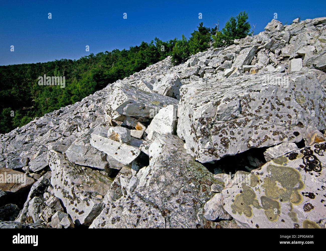 A talus slope at Indian Wells Overlook in Big Flat Laurel State Forest Natural Area in Huntingdon County, Pennsylvania Stock Photo