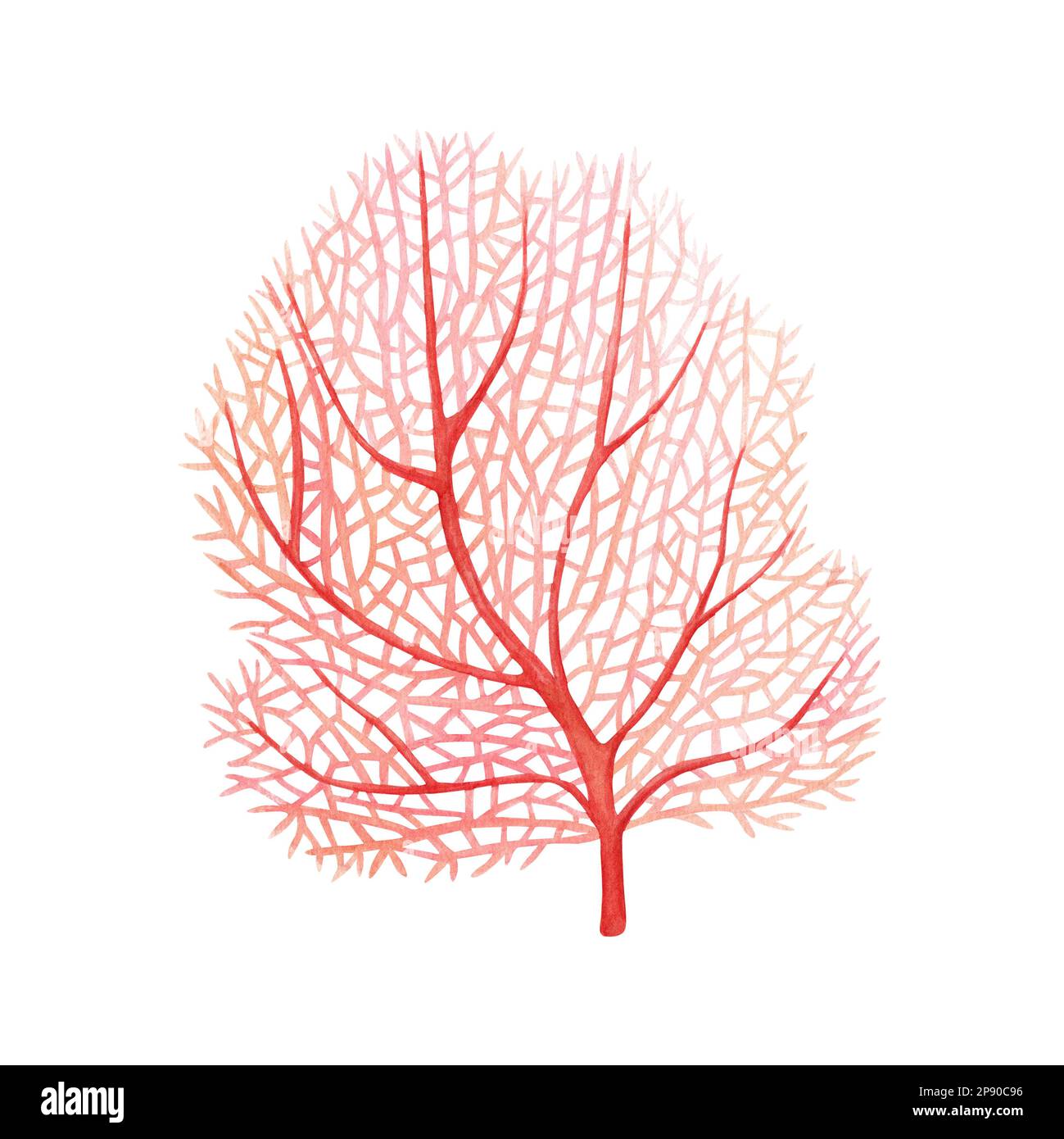 Red sea fan coral. Watercolor illustration isolated on white background Stock Photo