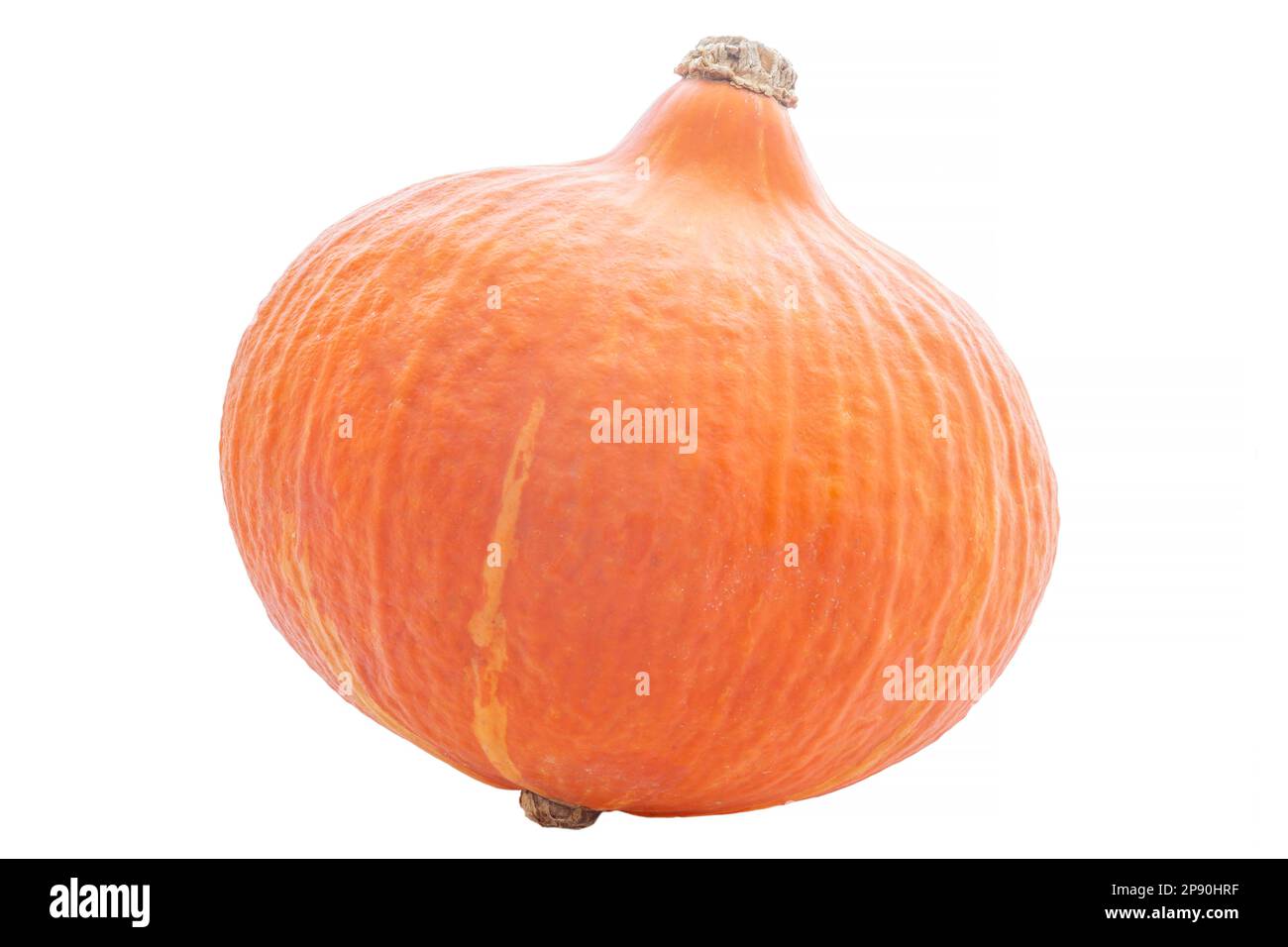 whole red kuri squash isolated on white background Stock Photo - Alamy