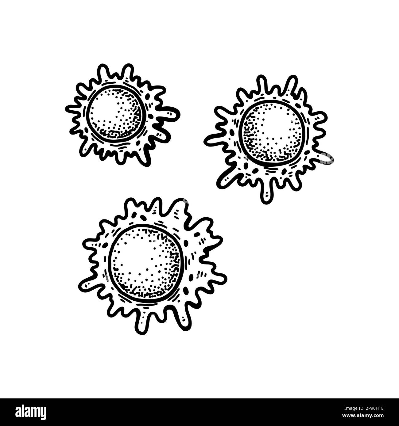 Macrophage blood cells isolated on white background. Hand drawn scientific microbiology vector illustration in sketch style Stock Vector