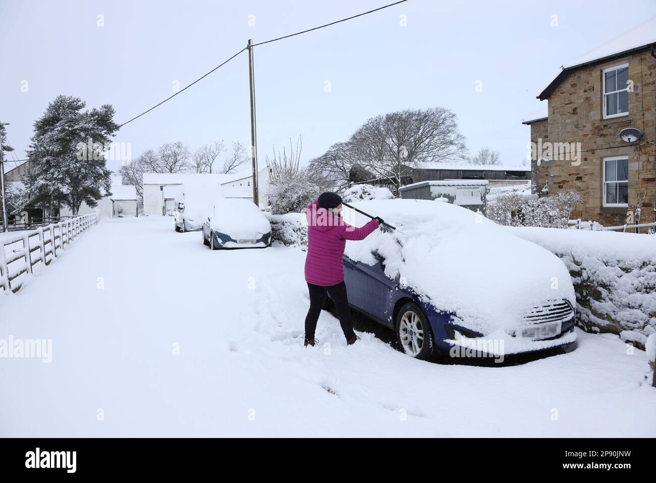 Teesdale, County Durham, UK. 10th March 2023. UK Weather. After heavy overnight snow a woman begins to clear snow off her car in Teesdale, County Durham. While there is currently an Amber weather warning in force conditions are expected to improve as the day progresses. Credit: David Forster/Alamy Live News Stock Photo