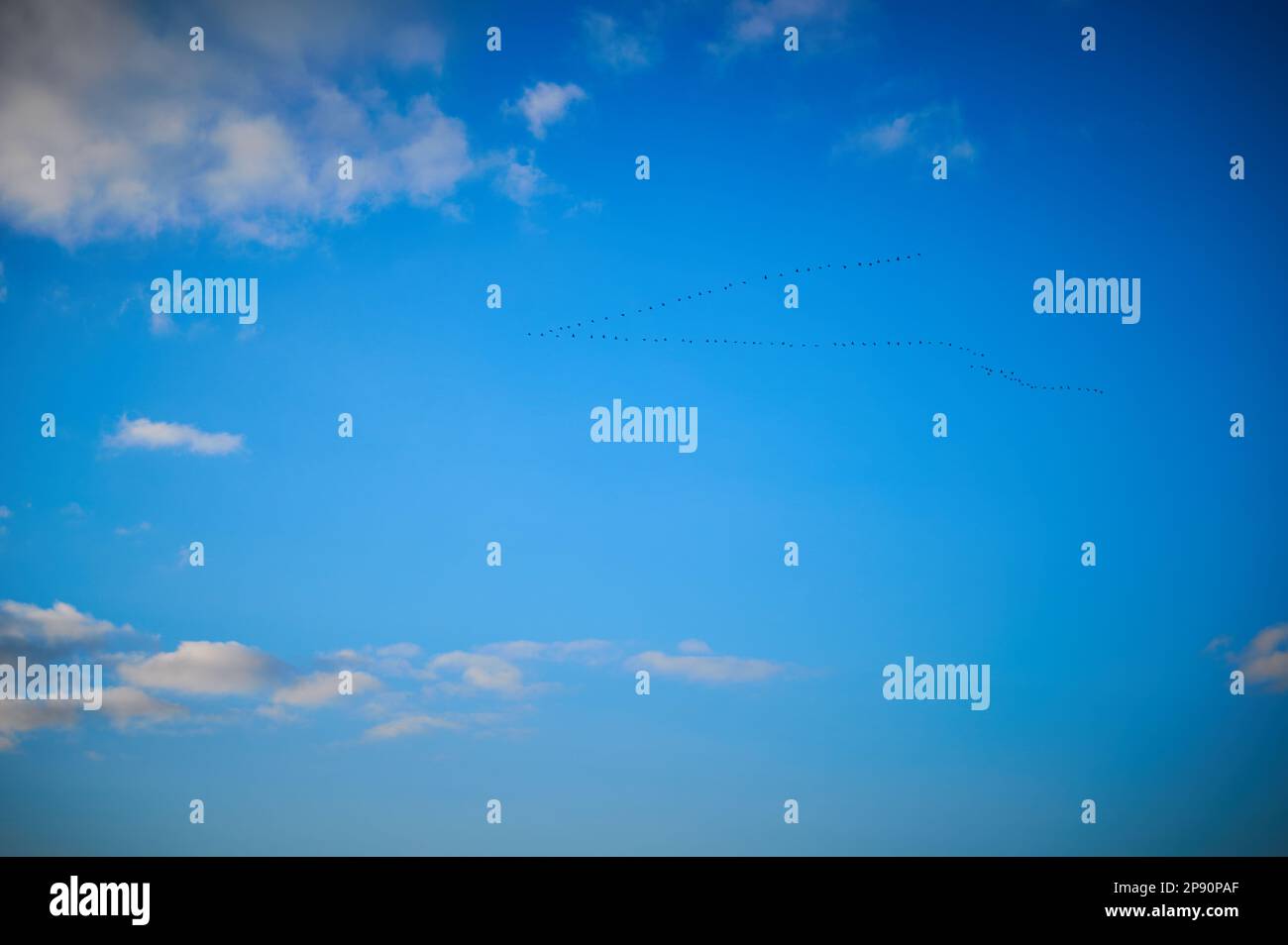 Clouds against the blue sky. Stock Photo