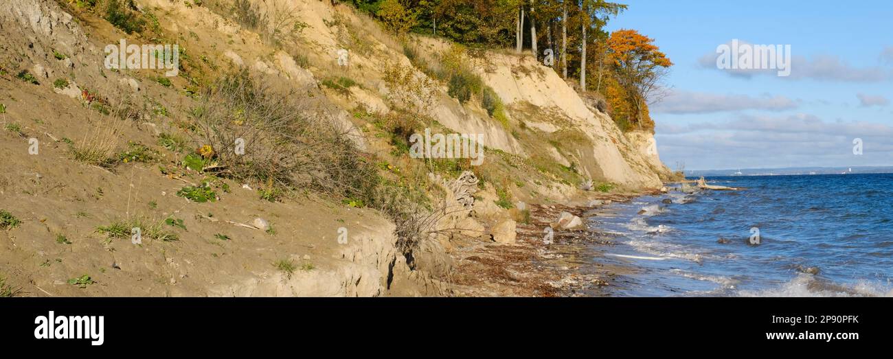Brodtener steep coast at autumn, Baltic Sea Stock Photo