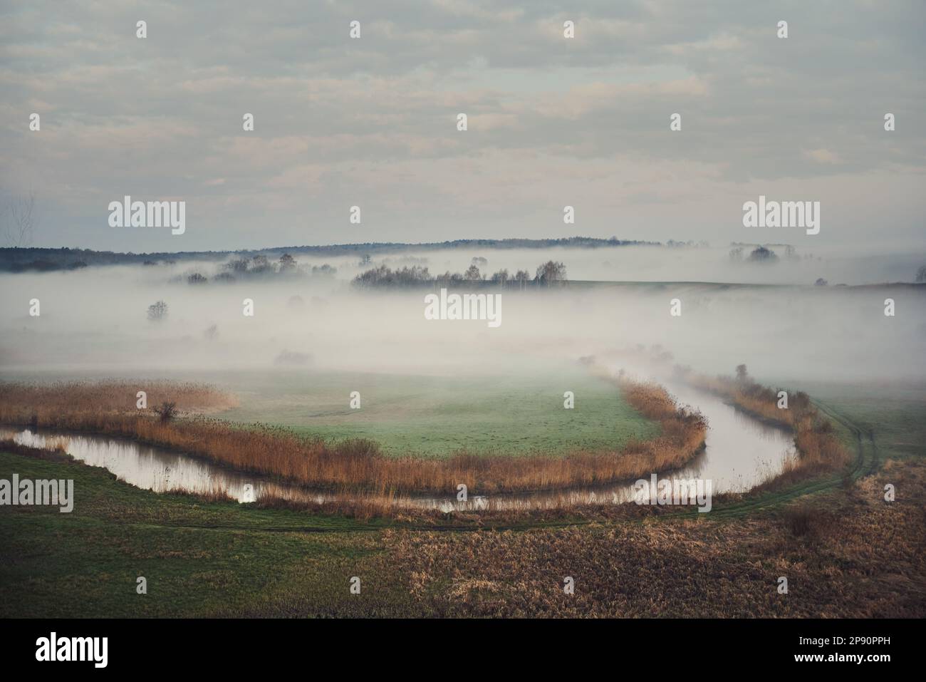 Valley river Wieprz in Lubelskie ship Stock Photo