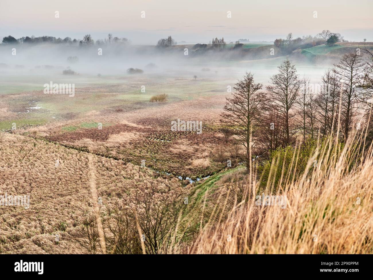 Valley river Wieprz in Lubelskie ship Stock Photo