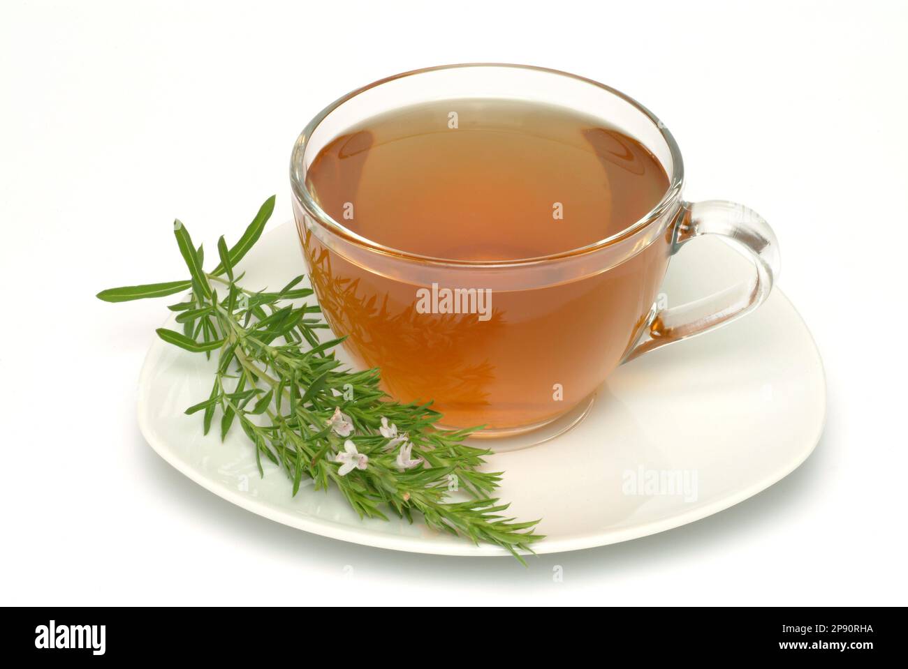 Tee aus Bohnenkraut, Heilpflanze, medizinische Verwendung, Bohnenkrauttee, Heiltee, Kräutertee, Satureja hortensis Stock Photo