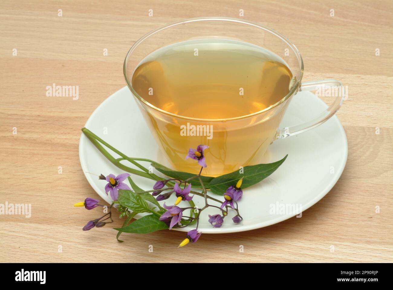 Tee aus bittersüßer Nachtschatten, Heiltee, medizinische Verwendung, Kräuter, Solanum dulcamara, Dulcamara Stock Photo