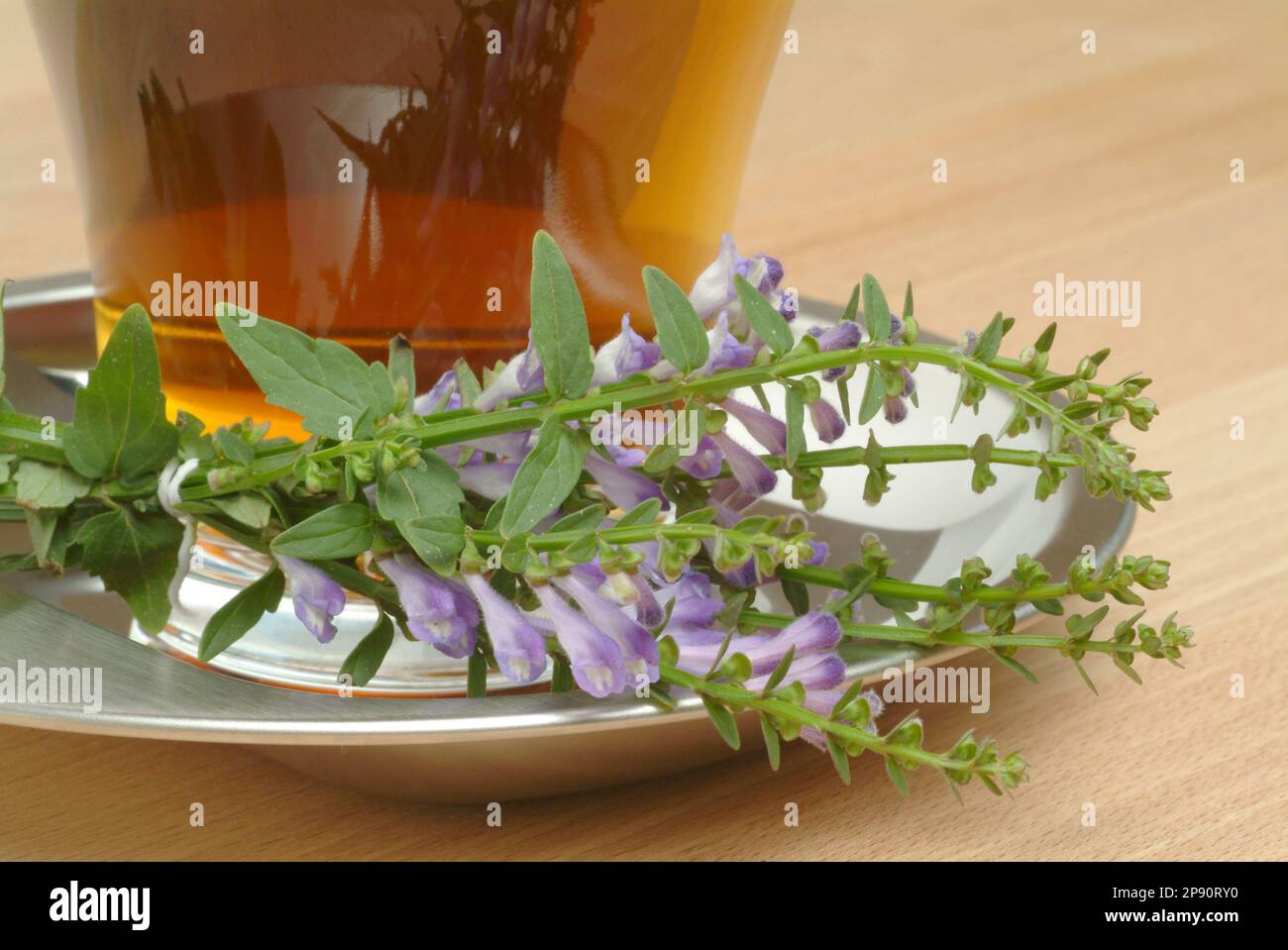 Tee aus Helmkraut, Heilpflanze, medizinische Verwendung, TCM, traditionelles chinesisches Heilmittel, Chinamedizin,  Heiltee, Kräutertee, Ban Zhi Lian Stock Photo