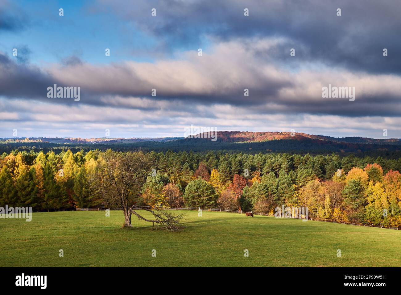 Fall In Poland Poland autumn hills sunny october hi-res stock photography and images ...