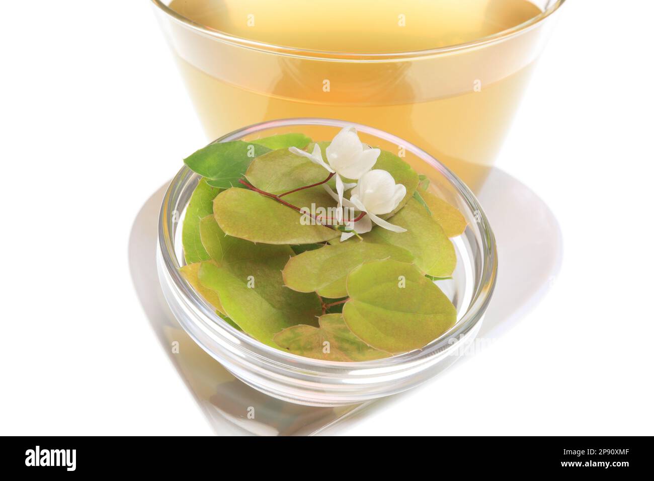 Kräutertee aus der Heilpflanze Epimedium grandiflorum, macranthum, Elfenblume, Ziegenkraut, Yin Yang Huo Stock Photo