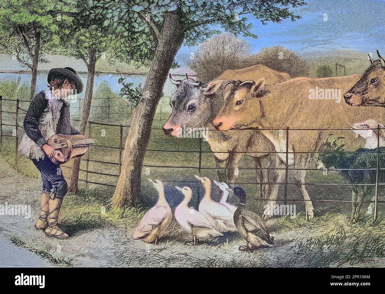 Junge mit einem Musikinstrument spielt vor Zuhörern, Kühen, Gänsen, Ziegen, Historisch, digital restaurierte Reproduktion von einer Vorlage aus dem 19. Jahrhundert Stock Photo