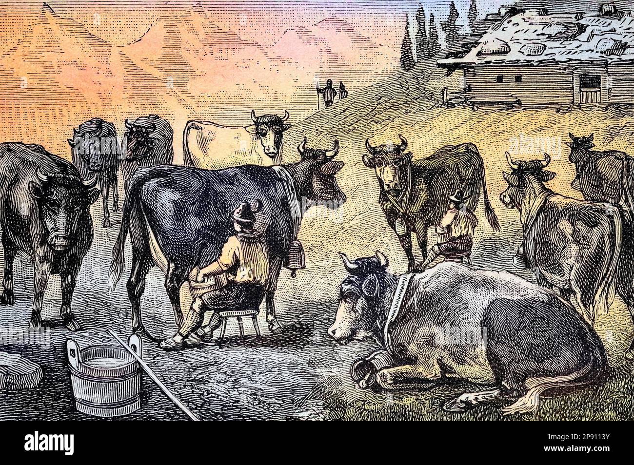 Melken der Kühe bei einer Almhütte im Allgäu, Bayern, Deutschland, Historisch, digital restaurierte Reproduktion von einer Vorlage aus dem 19. Jahrhundert Stock Photo