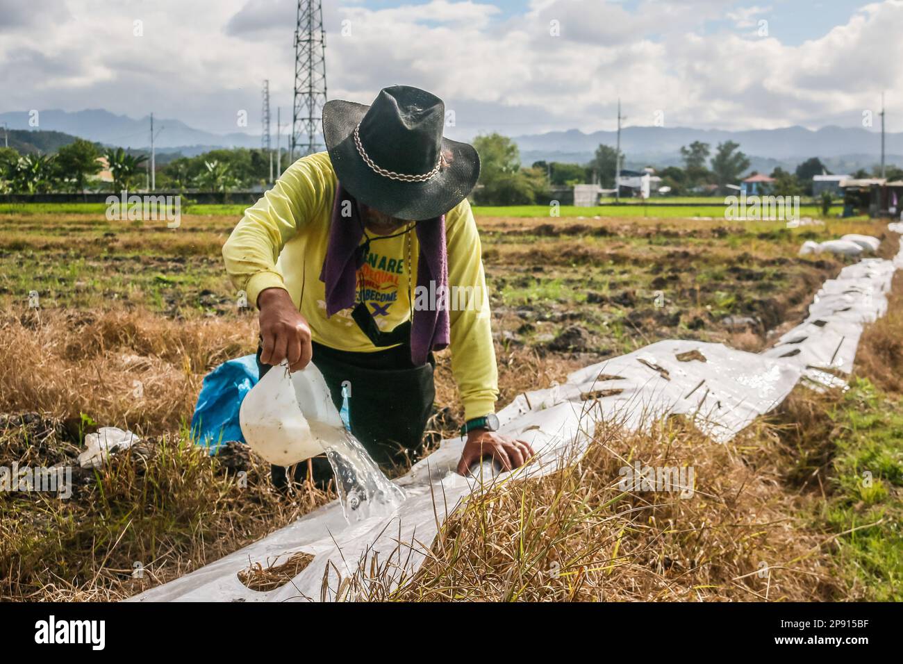 A Farmer Sprinkles Water On Seedlings On A Small Agricultural Land In a-farmer-sprinkles-water-on-seedlings-on-a-small-agricultural-land-in
