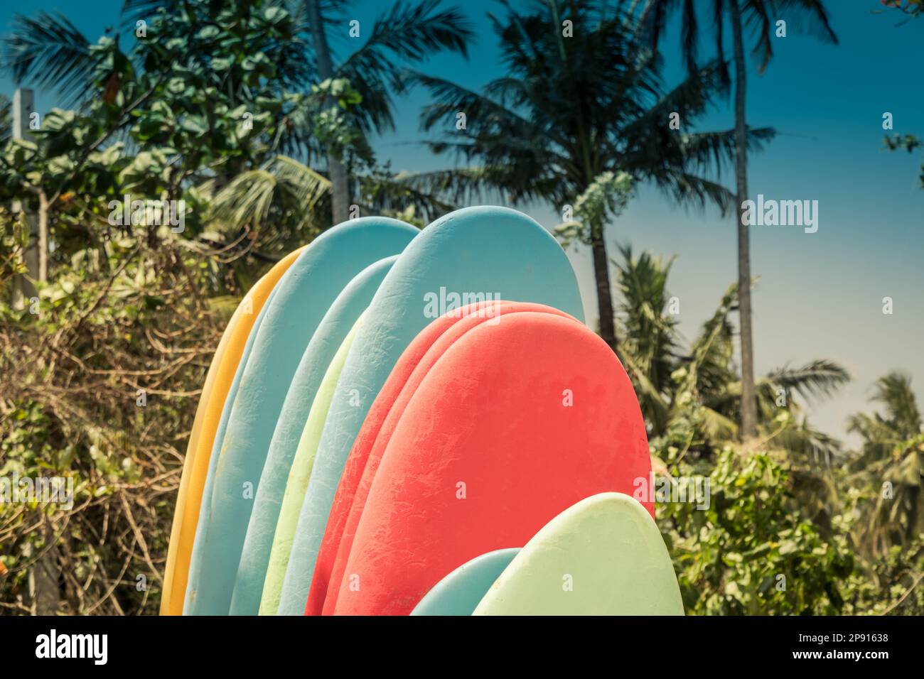 Assortment surfboards on sandy beach tropical seacoast in Sri Lanka. Hiriketiya Beach Dickwella Stock Photo