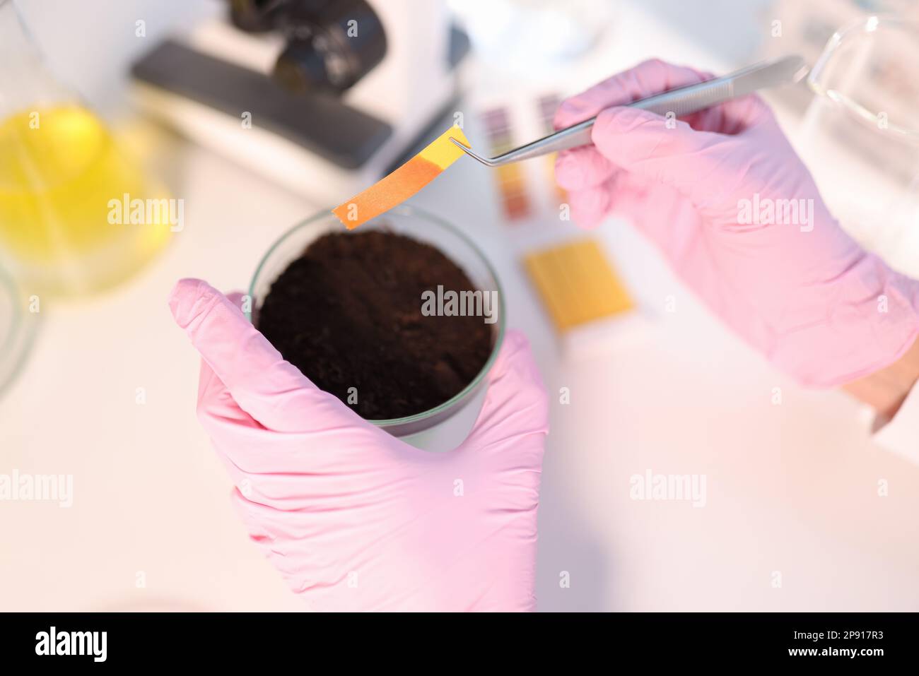 Laboratory analysis of soil contamination and test strip Stock Photo Alamy