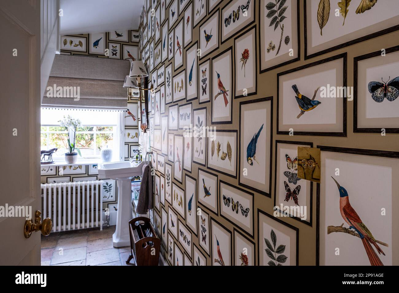 Bathroom papered with birds and butterfly prints in 18th century Grade II listed Suffolk country house, UK Stock Photo